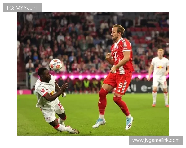 德甲足球队医团队介绍及体育健康管理分析